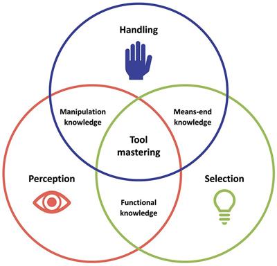 Tool mastering today – an interdisciplinary perspective